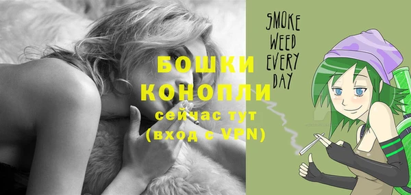 прущие грибы Козловка