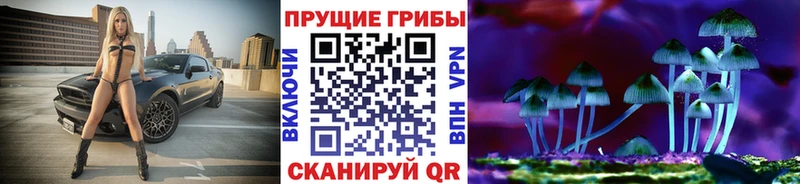 Купить закладки  Махачкала  Псилоцибиновые грибы ЛСД 